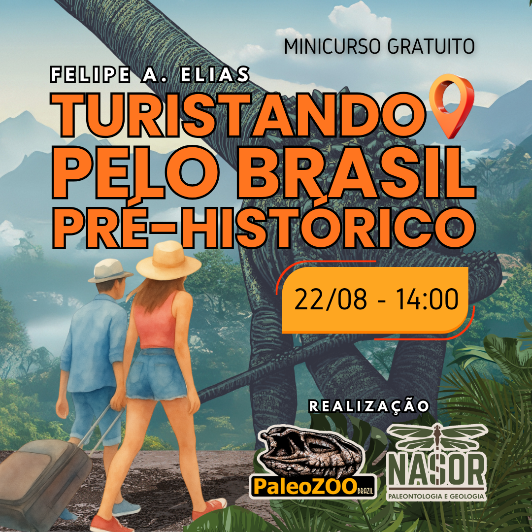 MINICURSO CHAMADA feed