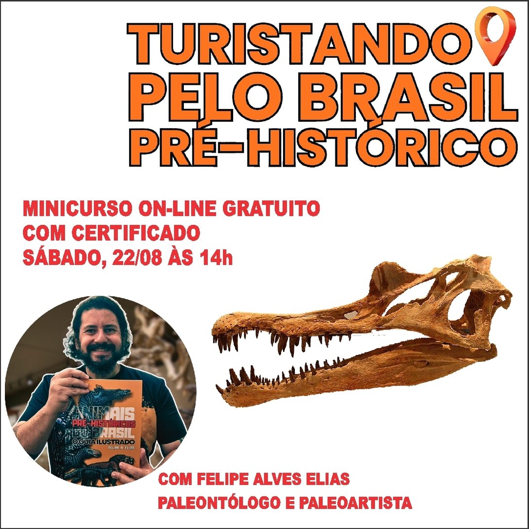 imagem Feed 2